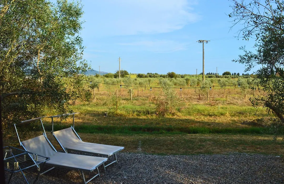 Villa Orta - Agriturismo con cucina Vegan, Plant-based Farmhouse-1